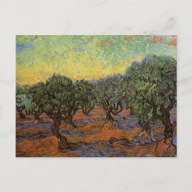Olive Grove with Orange Sky, Vincent van Gogh Postcard (Front)
