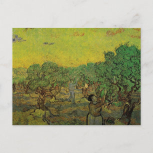 Olive Grove with Picking Figures, Vincent van Gogh Postcard