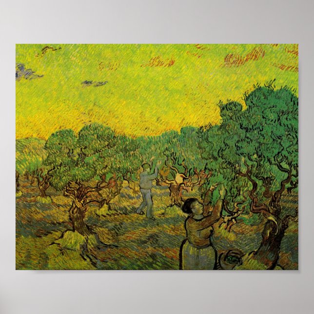 Olive Grove with Picking Figures, Vincent van Gogh Poster (Front)