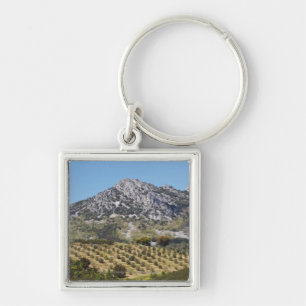 Olive Groves Key Ring