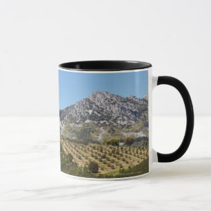 Olive Groves Mug