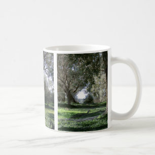 Olive Groves Mug