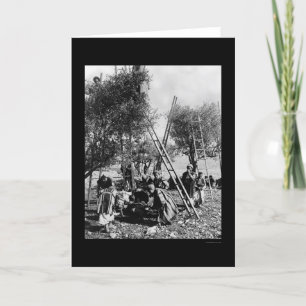 Olive Harvest Palestine 1886 Card