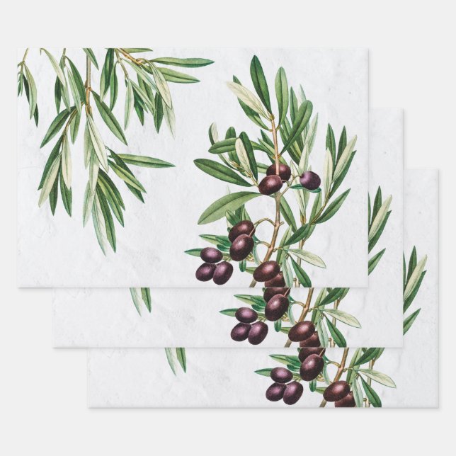 Olive Leaves Mediterranean Greek Island  Wrapping Paper Sheet (Set)