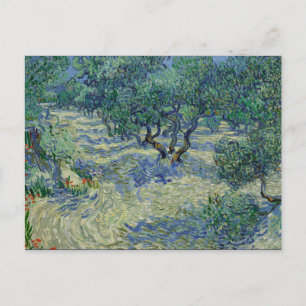 Olive Orchard by van Gogh Postcard