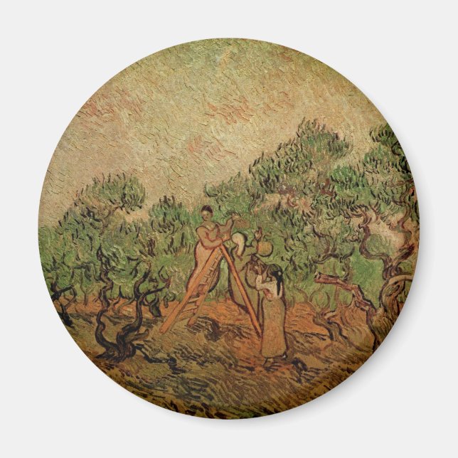 Olive Picking by Vincent van Gogh Magnet (Front)