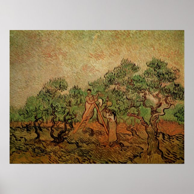 Olive Picking by Vincent van Gogh Poster (Front)