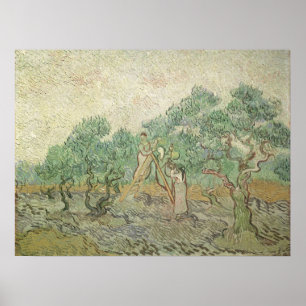 Olive Picking by Vincent van Gogh, Vintage Art Poster