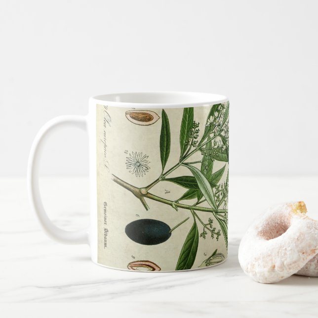 Olive Plant Botanical Illustration Coffee Mug (With Donut)