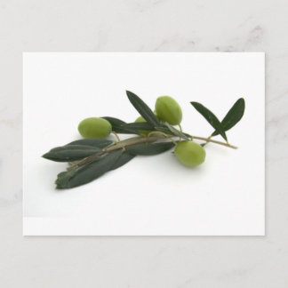 Olive Postcard