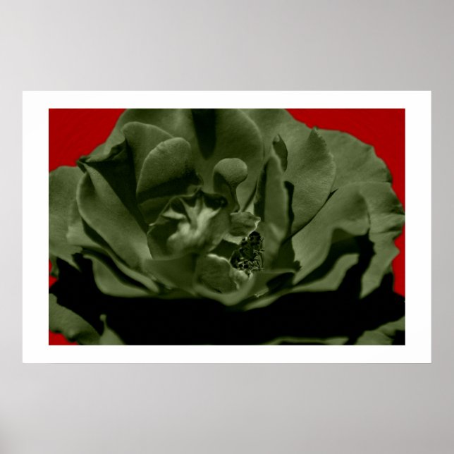 Olive Rose w/Red Anegelhair textured Background Poster (Front)