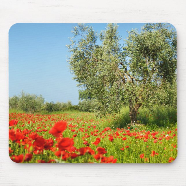 Olive tree in poppy field mousepad (Front)