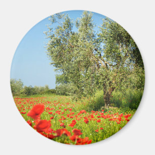 Olive tree in poppy field round magnet