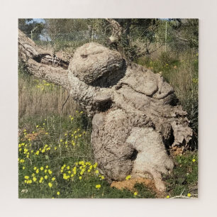 Olive Tree in Yoga Position  Jigsaw Puzzle