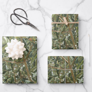 Olive Tree Leaves Wrapping Paper Sheet