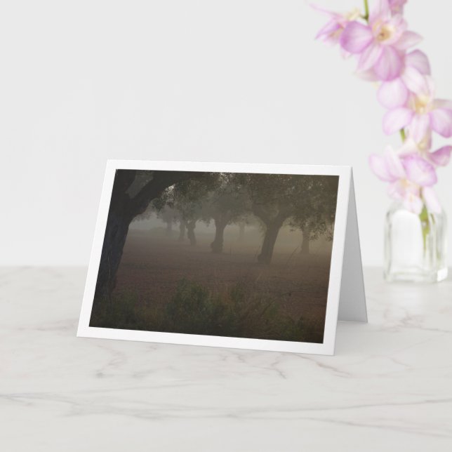 Olive Tree Orchard on a Foggy Morning Card (Orchid)