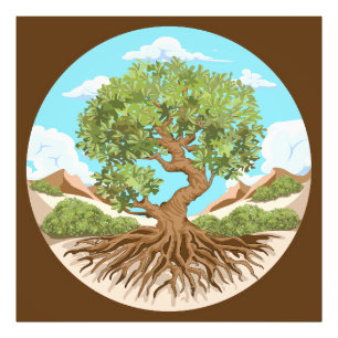 Olive tree Peace symbol in a free Palestine Land Photo Print
