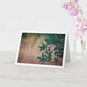 Olive Tree with Blurred Background Card