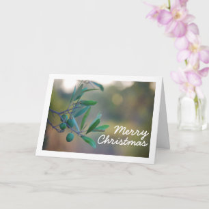 Olive Tree with Bokeh Background Card