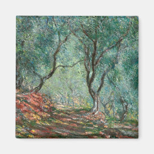 Olive Tree Wood in the Moreno Gardens (by Monet) Magnet