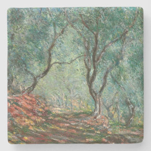 Olive Tree Wood in the Moreno Gardens (by Monet) Stone Coaster