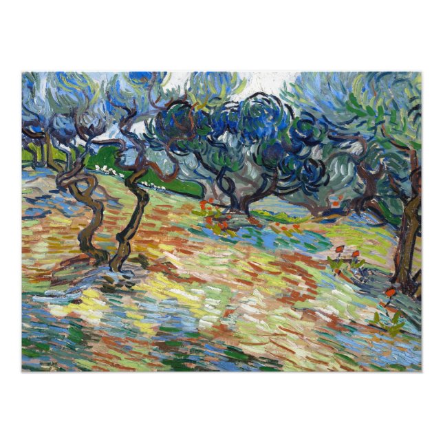 Olive Trees by Vincent van Gogh Photo Print (Front)