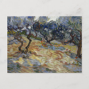 Olive Trees by Vincent Van Gogh Postcard