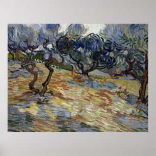 Olive Trees by Vincent Van Gogh Poster