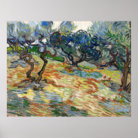 Olive Trees by Vincent Van Gogh  
