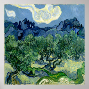 Olive Trees by Vincent van Gogh Poster