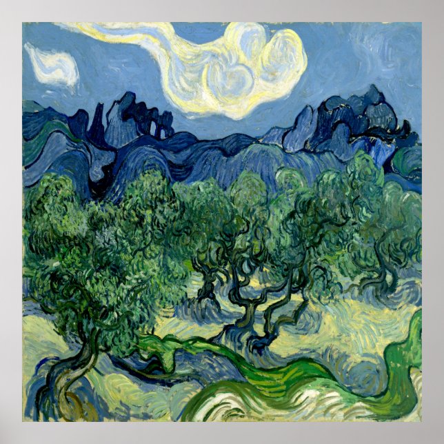 Olive Trees by Vincent van Gogh Poster (Front)