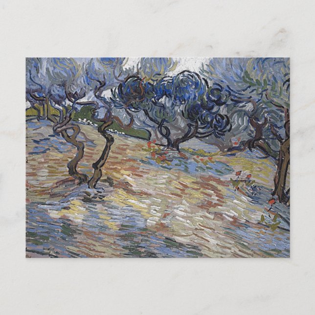 Olive Trees (F714) Van Gogh Fine Art Postcard (Front)