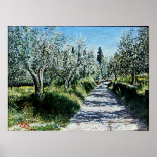 OLIVE TREES IN RIMAGGIO Tuscany landscape Poster