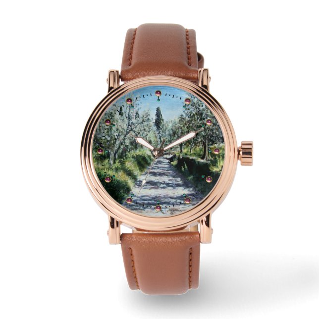 OLIVE TREES IN RIMAGGIO Tuscany Landscape Watch (Front)