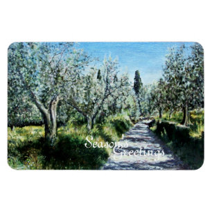 OLIVE TREES IN RIMAGGIO TUSCANY MAGNET