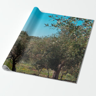 Olive trees in the Apulian landscape in autumn. ag Wrapping Paper