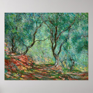 Olive Trees in the Garden Poster