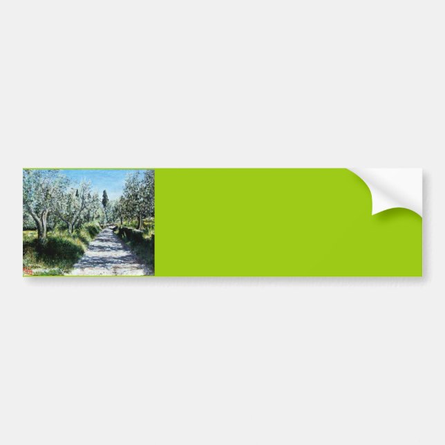 OLIVE TREES IN TUSCANY BUMPER STICKER (Front)
