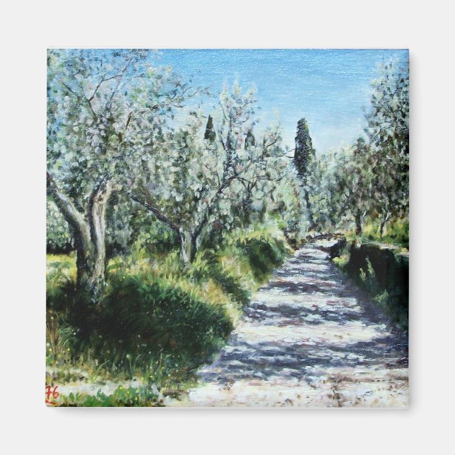 OLIVE TREES IN TUSCANY LANDSCAPE MAGNET (Front)