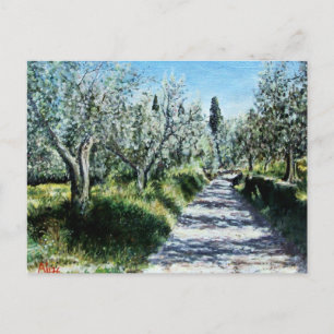 OLIVE TREES IN TUSCANY POSTCARD