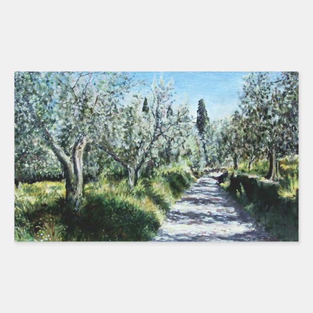 OLIVE TREES IN TUSCANY RECTANGULAR STICKER (Front)