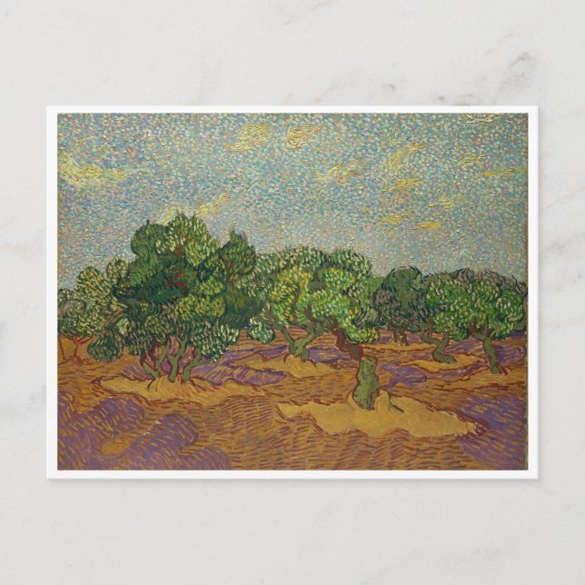 Olive Trees, Van Gogh Postcard (Front)