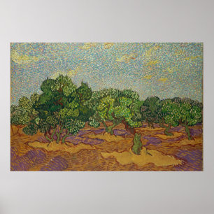 Olive Trees, Van Gogh Poster