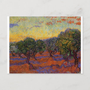 Olive Trees - Vincent Van Gogh Postcard