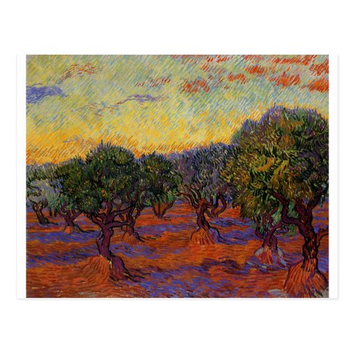 Image of Olive Trees - Vincent Van Gogh Postcard