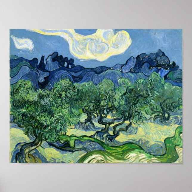 Olive Trees Vincent Van Gogh Poster (Front)