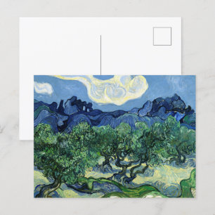 Olive Trees with the Alpilles in the Background Postcard