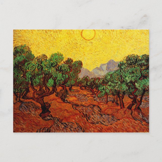 Olive Trees with Yellow Sky and Sun Van Gogh Postcard (Front)