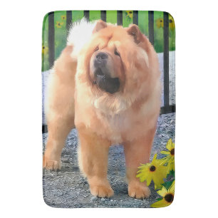 OLIVER in GARDEN  Chow bath mat/crate mat