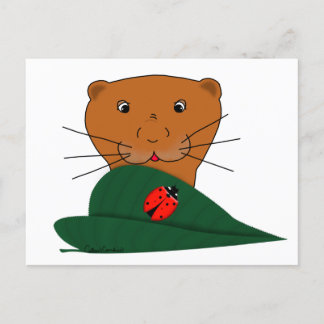 Oliver The Otter Studies a Ladybug  Postcard